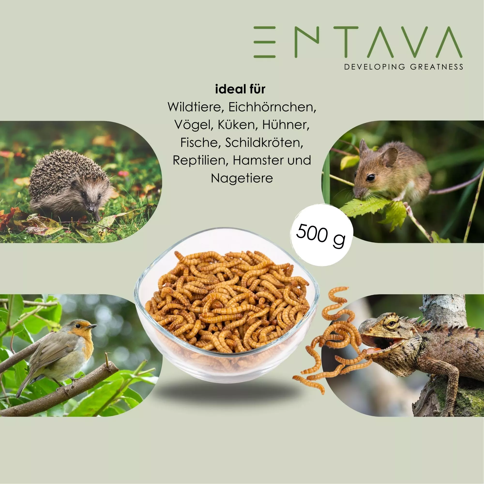 Insektenfutter für Wildtiere und Heimtiere