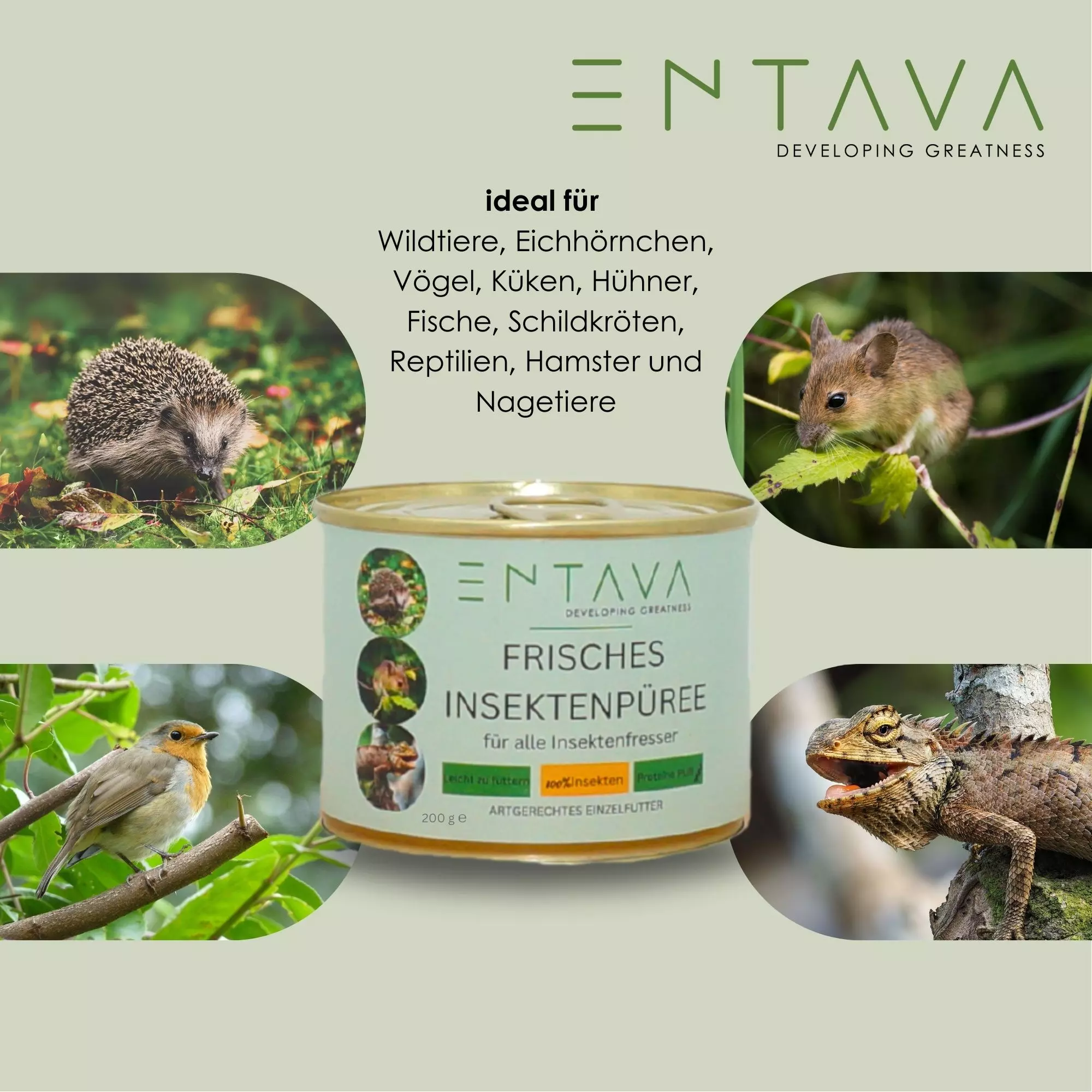 Insektenfutter für Wildtiere und Heimtiere Insektenfutter für Wildtiere und Heimtiere