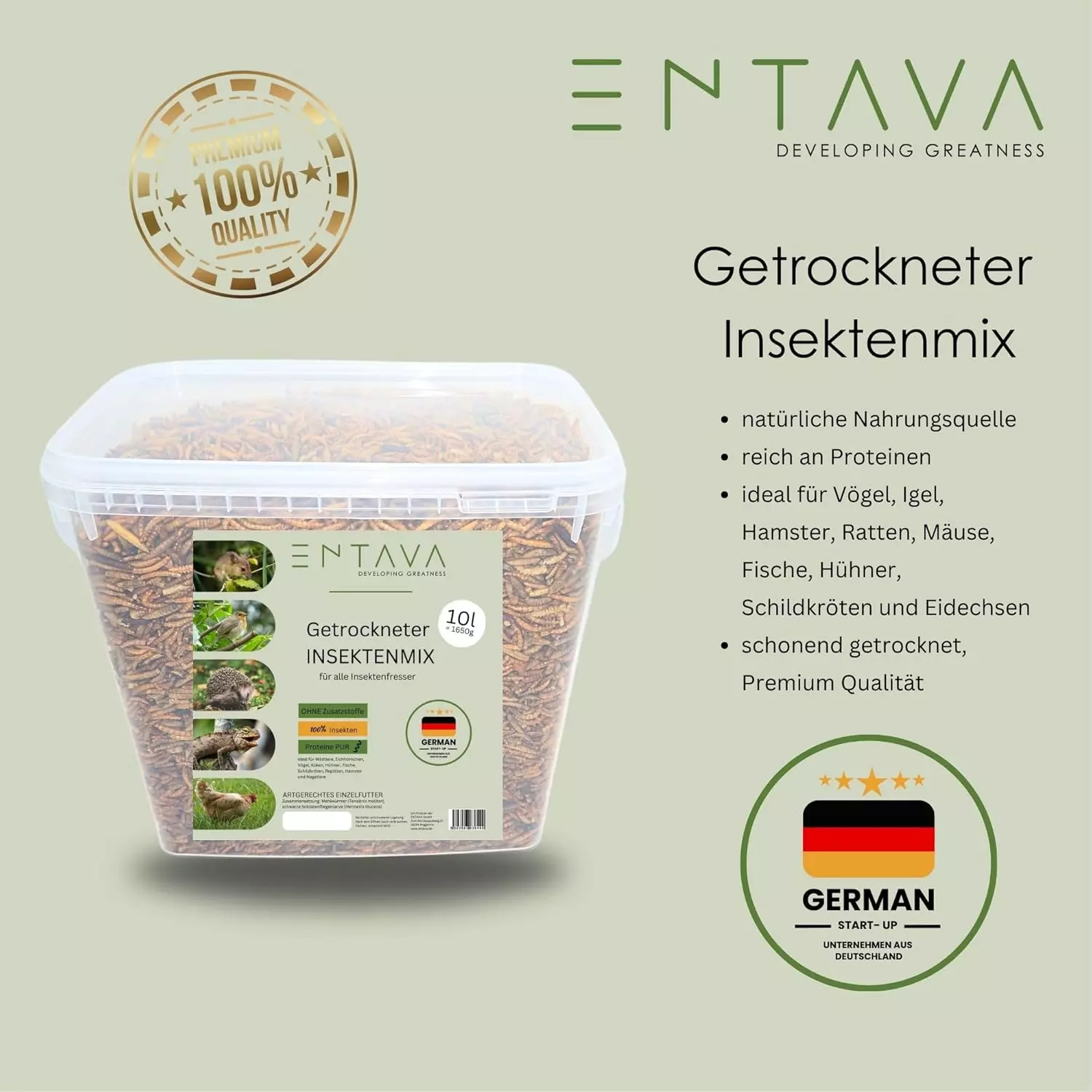 Insektenmix Insektenmix